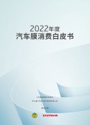 《2022年度汽车膜消费